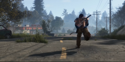 Rust Developers Have Delayed Their Pets Update Indefinitely